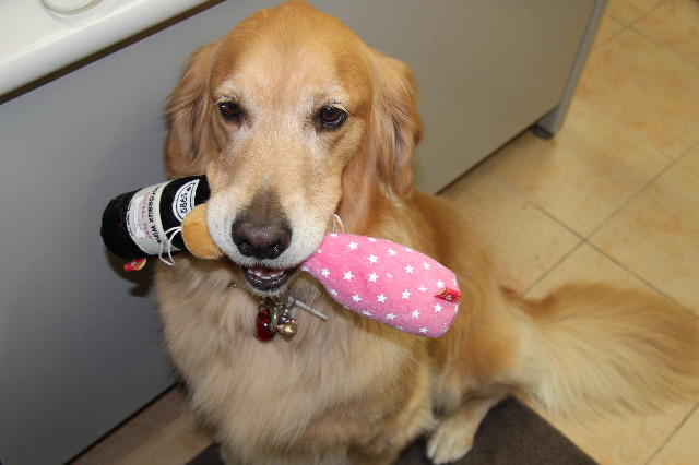 ファイル 2062-2.jpg