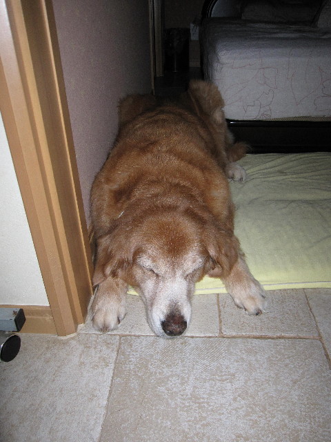 ファイル 2062-5.jpg