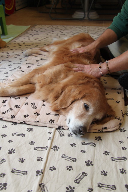 ファイル 2077-2.jpg