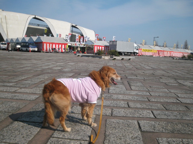 ファイル 208-1.jpg