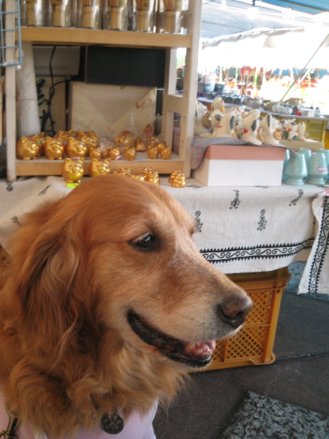 ファイル 208-2.jpg