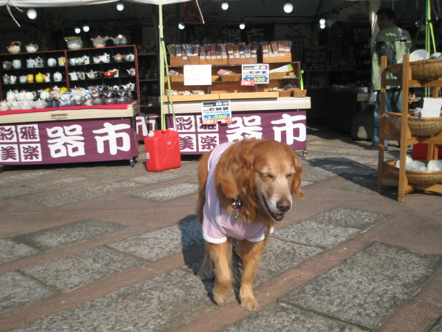 ファイル 208-4.jpg