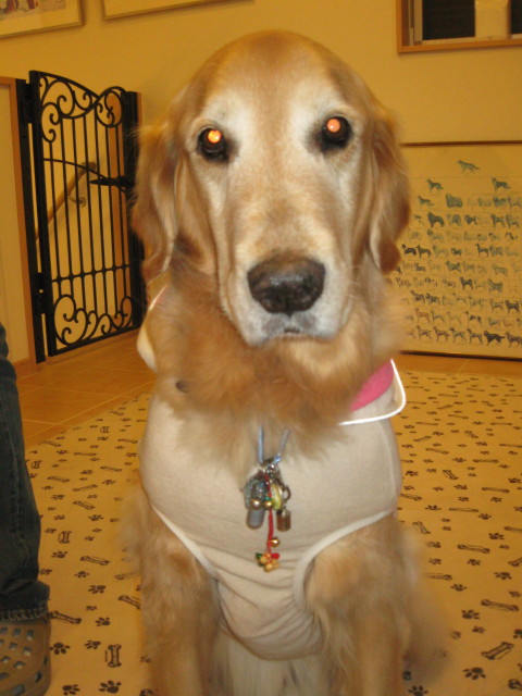 ファイル 208-5.jpg