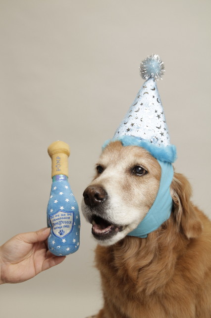 ファイル 2081-1.jpg