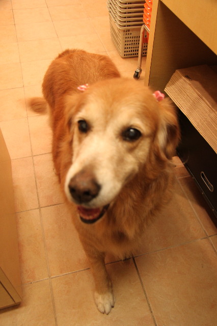 ファイル 2081-4.jpg