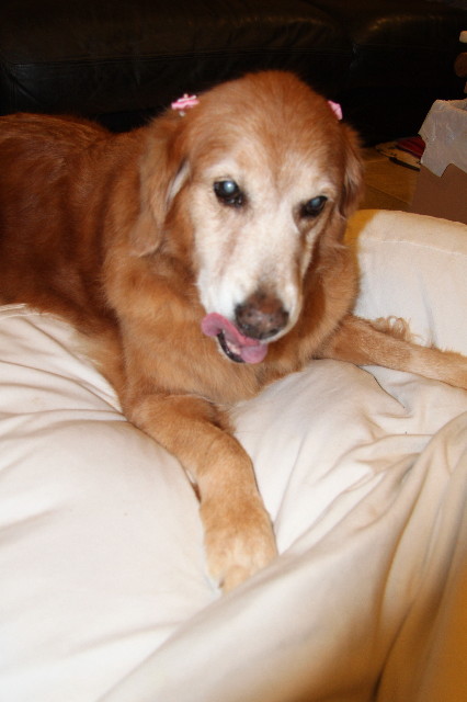 ファイル 2081-5.jpg