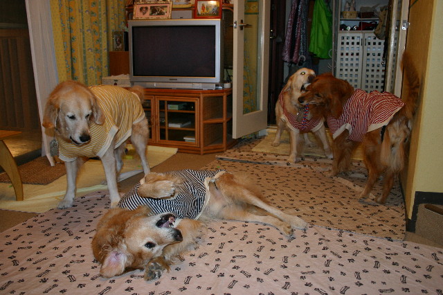 ファイル 2082-4.jpg