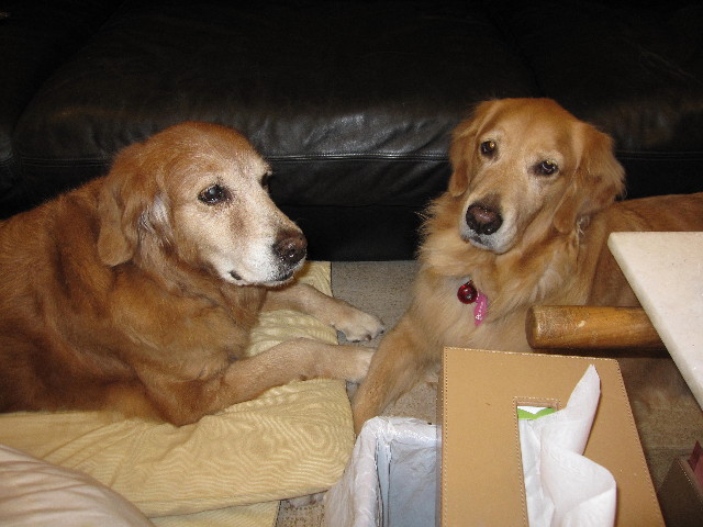 ファイル 2084-1.jpg