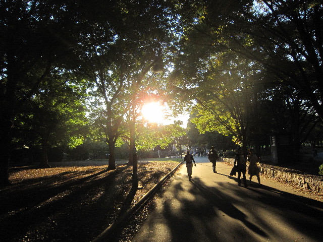 ファイル 2085-3.jpg