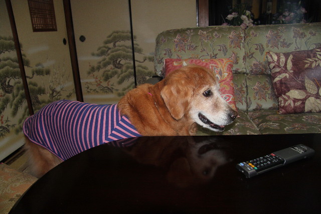 ファイル 2087-5.jpg