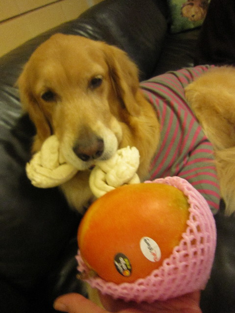 ファイル 2088-5.jpg