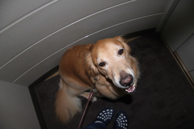 ファイル 2089-1.jpg