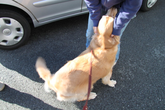 ファイル 2089-4.jpg