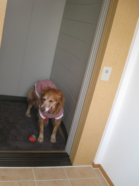 ファイル 209-4.jpg