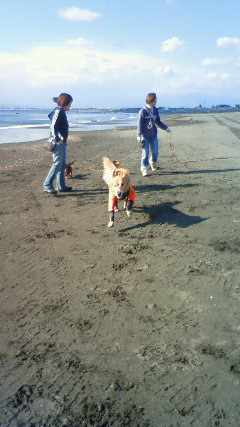 ファイル 2091-1.jpg