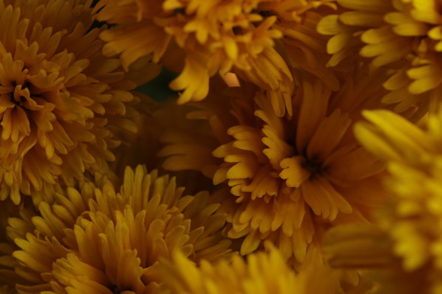 ファイル 2099-2.jpg