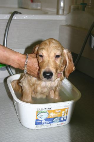 ファイル 21-2.jpg