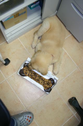 ファイル 21-3.jpg