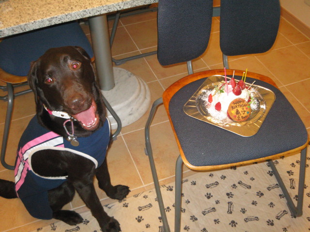 ファイル 210-2.jpg