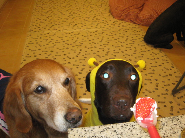 ファイル 210-5.jpg