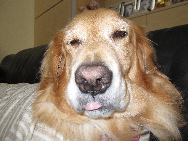 ファイル 2104-3.jpg