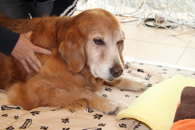 ファイル 2104-4.jpg