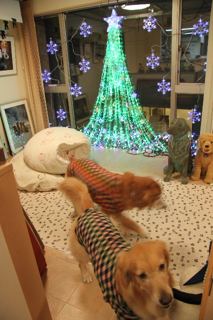 ファイル 2108-2.jpg