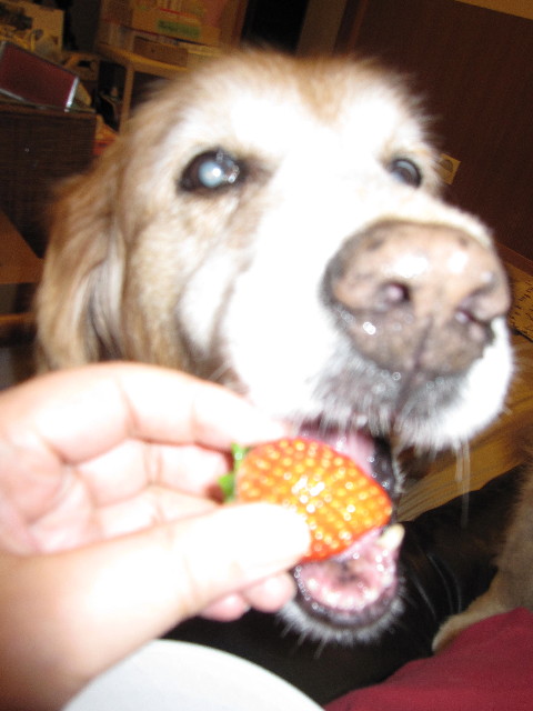 ファイル 2108-4.jpg