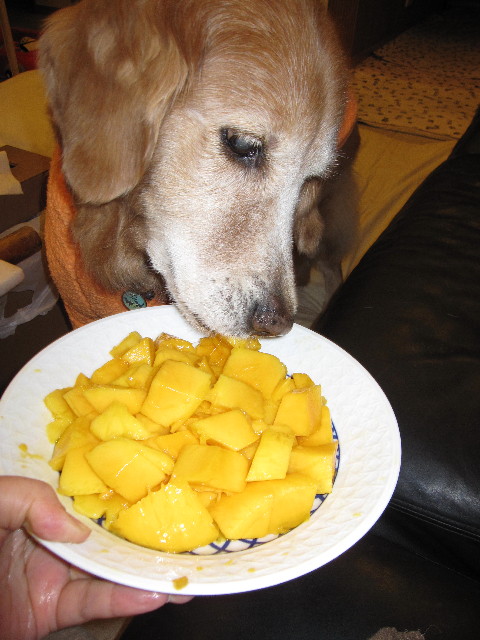 ファイル 2108-5.jpg