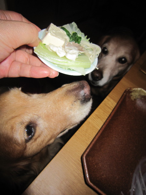 ファイル 2109-4.jpg