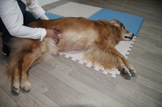 ファイル 2110-1.jpg