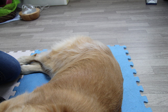 ファイル 2110-5.jpg