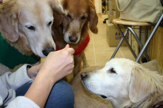 ファイル 2111-5.jpg