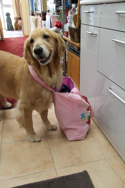 ファイル 2112-1.jpg