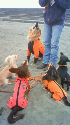 ファイル 2112-3.jpg