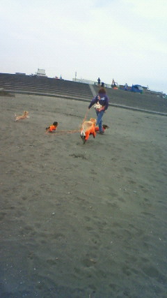 ファイル 2112-4.jpg