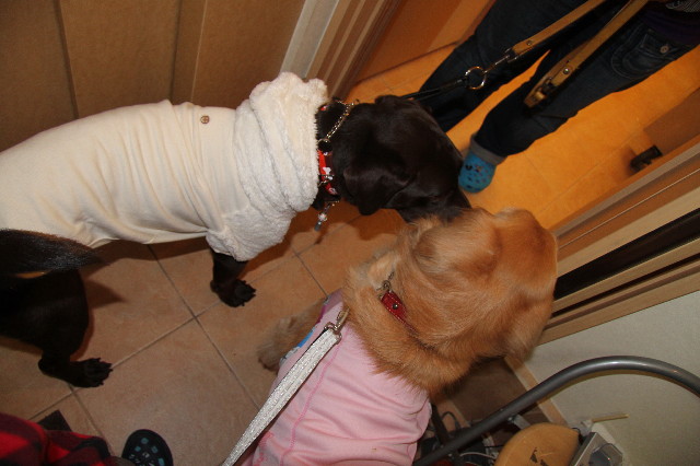 ファイル 2125-4.jpg