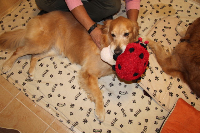 ファイル 2127-2.jpg