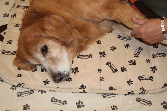 ファイル 2127-3.jpg