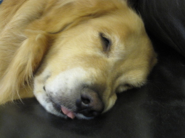 ファイル 2127-4.jpg