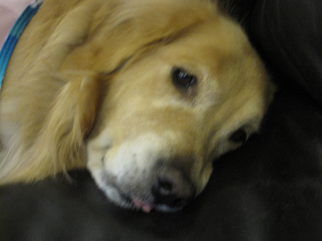 ファイル 2127-5.jpg