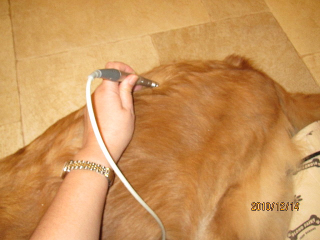 ファイル 2128-5.jpg