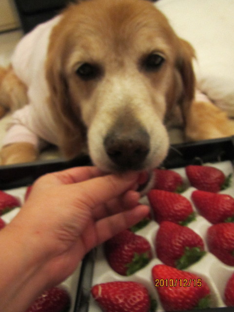 ファイル 2131-4.jpg