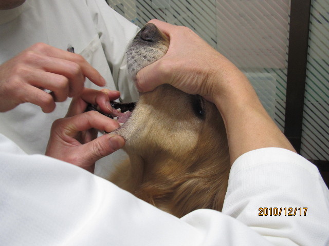 ファイル 2133-2.jpg