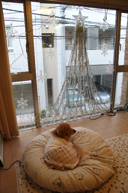 ファイル 2134-2.jpg