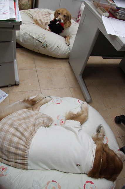 ファイル 2134-3.jpg