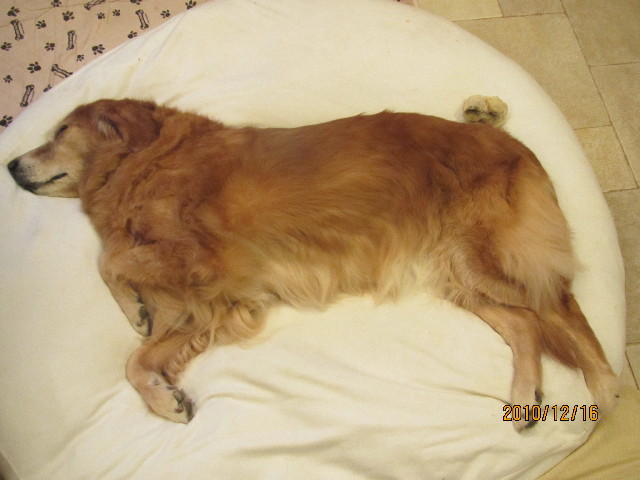 ファイル 2134-5.jpg