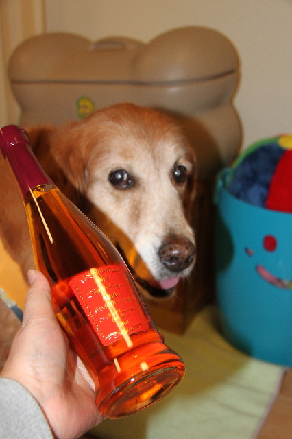 ファイル 2136-2.jpg