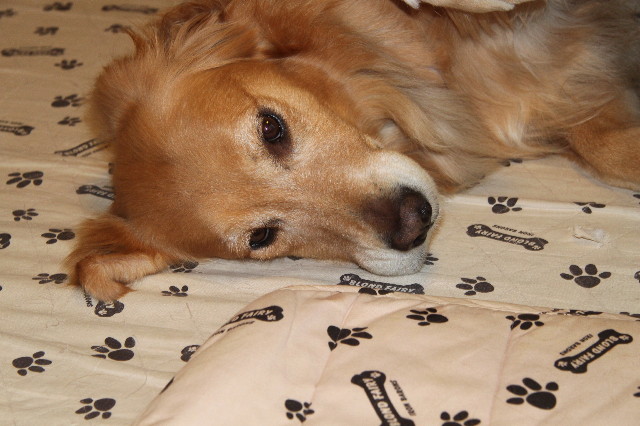 ファイル 2138-3.jpg