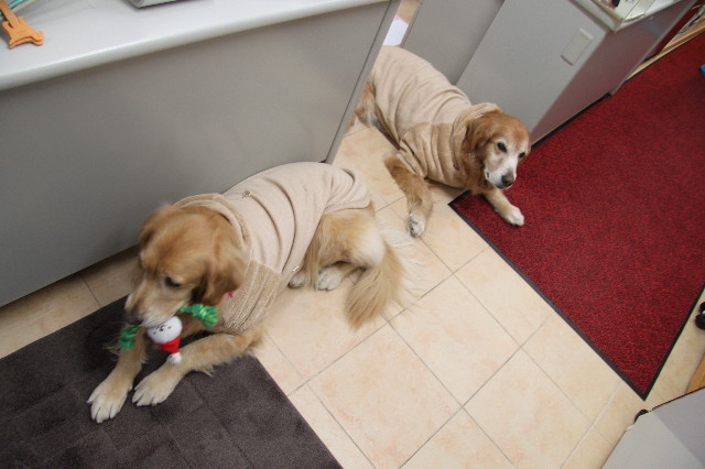 ファイル 2138-5.jpg